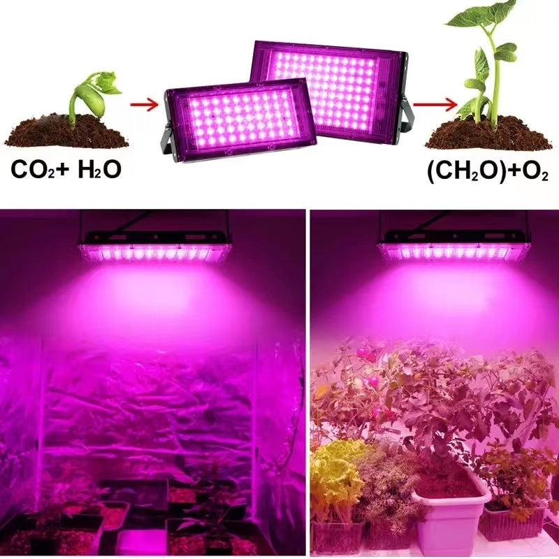 Full Spectrum LED Plant Growth Light